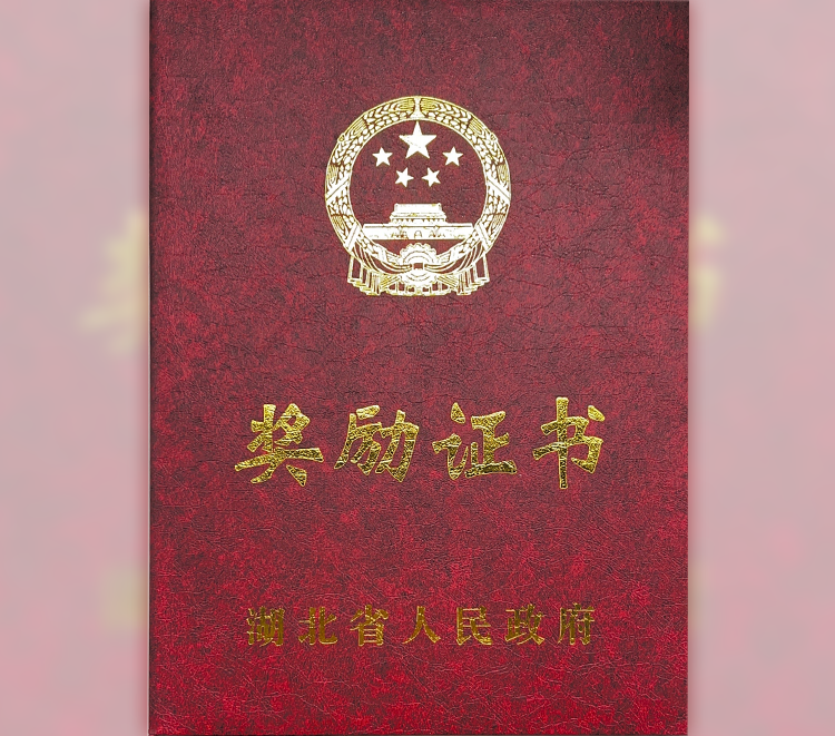 中观荣获“湖北省科技型中小企业创新奖” (2).png